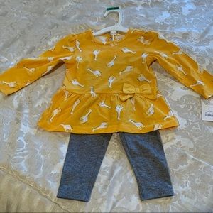 Carter’s 2 piece girls 18M outfit NWT